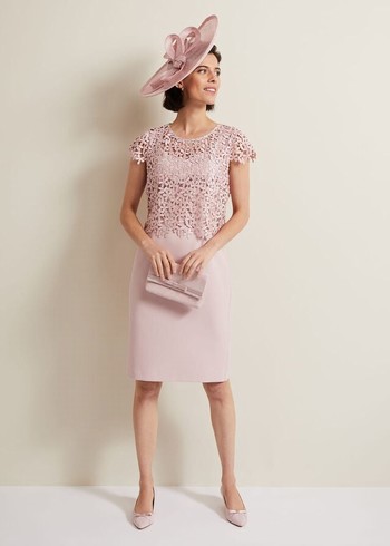 Phase Eight Daisy Lace Dress Pink Canada | XHYJQE-851